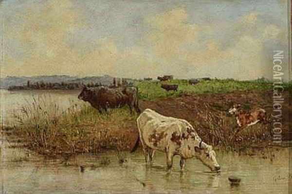 Rinder Am Flussufer Oil Painting - Giuseppe Gabani