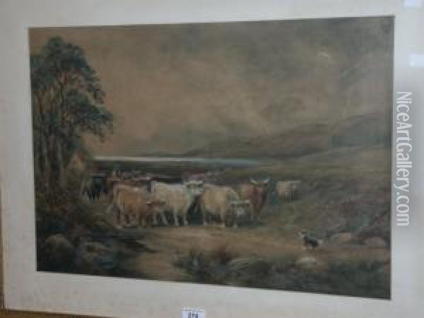 Highland Cattle On A Lane Oil Painting - A. Mcarthur