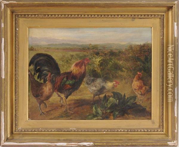 Chickens In The Yard Oil Painting - George Arthur Hickin