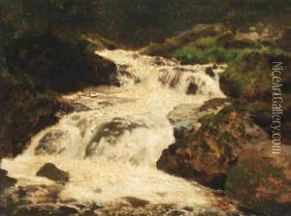 Cascading Falls Oil Painting - Herman Herzog