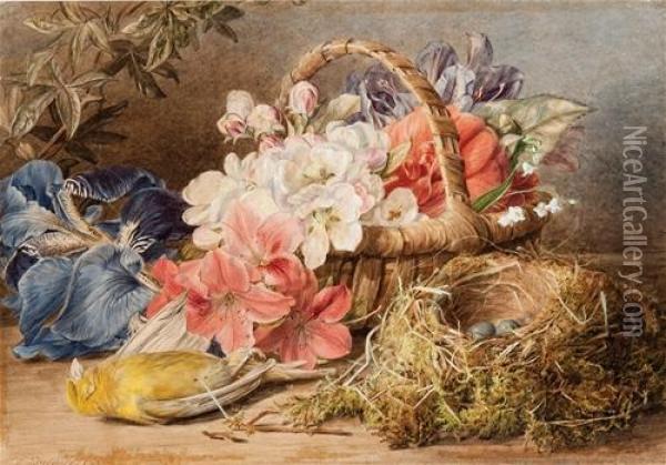 Flowers, Nest And Greenfinch Oil Painting - Mary Elizabeth Duffield