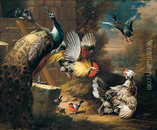 A Still Life Of Fowl, With A Cat Chasing Bantams From A Chicken Coop, A Peacock In The Foreground Oil Painting - Pieter Casteels III