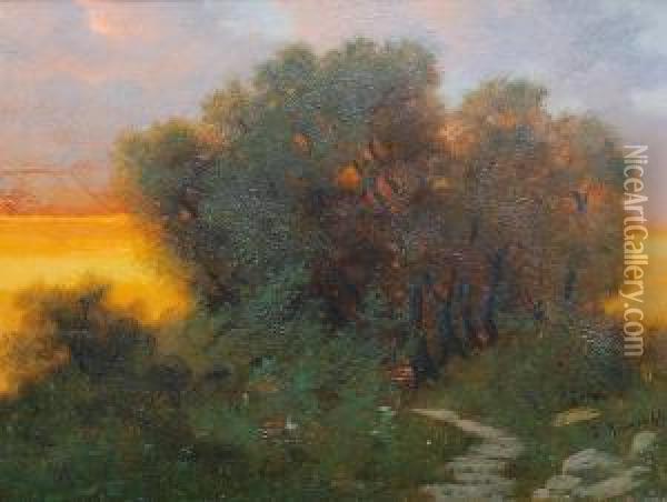Weg Und Baume Bei Sonnenuntergang Oil Painting - Eduard Rudisuhli