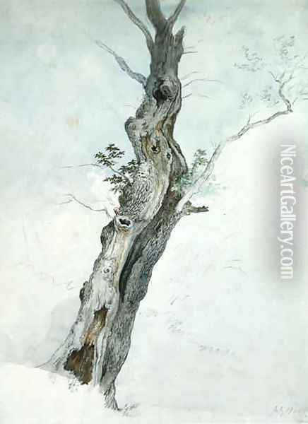 Tree Study Oil Painting - Robert Hills