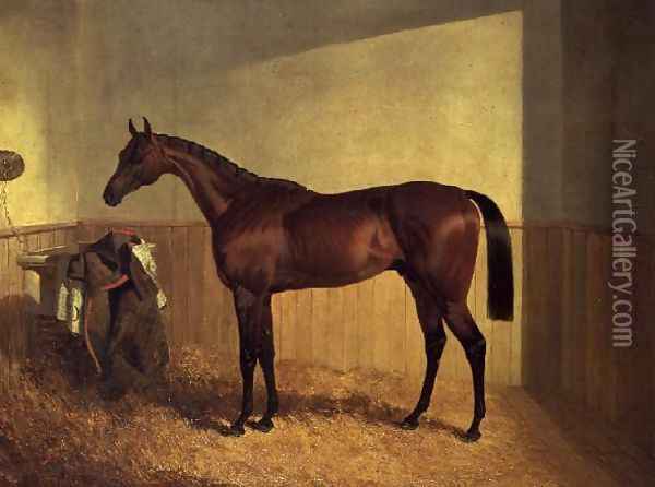 'The Merry Monarch', a bay racehorse, in a loosebox Oil Painting - John Frederick Herring Snr