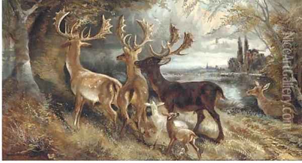 Stag's and hindes by a tree Oil Painting - Robert Cleminson