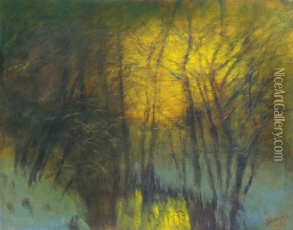 Night Oil Painting - Laszlo Mednyanszky