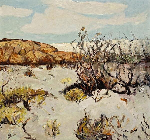 Desert In Bloom Oil Painting - Thomas Lorraine Hunt