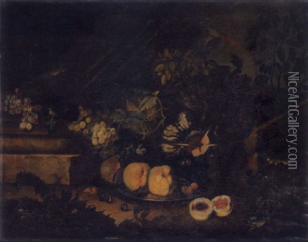 Stillleben Mit Fruchten, Zinnplatte Und Eidechsen Oil Painting - Giovanni Battista Ruoppolo