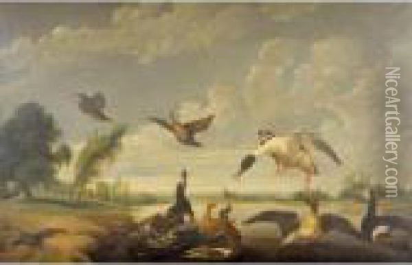 Ducks And Other Birds In A Landscape Oil Painting - Paul de Vos