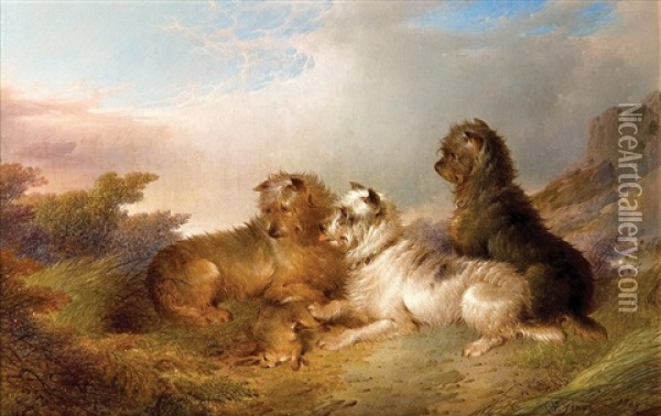 Sporting Terriers Oil Painting - Paul Jones