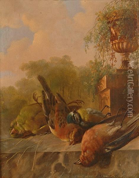 Still Life Of Birds, With An Urn In The Background. Oil Painting - Albertus Verhoesen