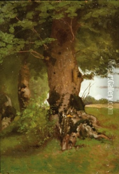 Troncs D'arbres (study) Oil Painting - Antoine Chintreuil