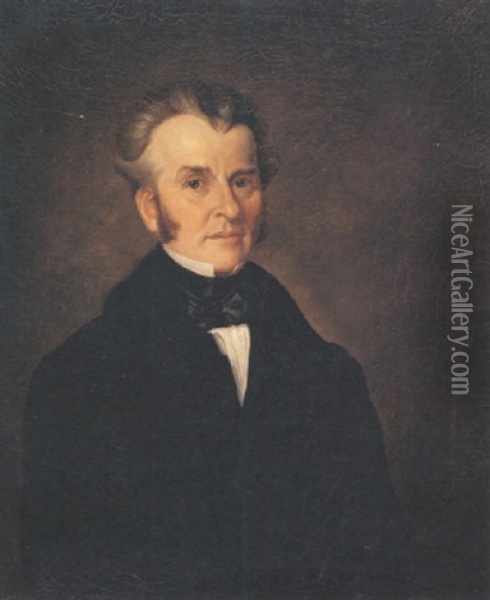 Portrait Of The Honourable Henry Ruttan Oil Painting - Paul Kane