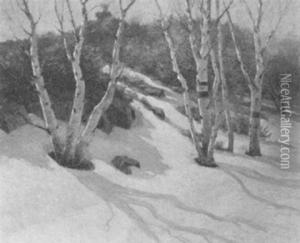 Winter In New England, Hillside Birches Oil Painting - John Calvin Stevens