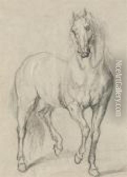 A Horse Oil Painting - Sir Anthony Van Dyck