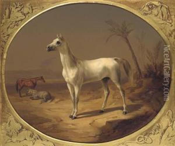 A Grey Arabian Horse Oil Painting - Theodore Horschelt