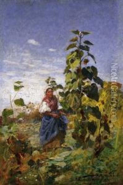 Young Wife Among Sunflowers Oil Painting - Sandor Alexander Bihari