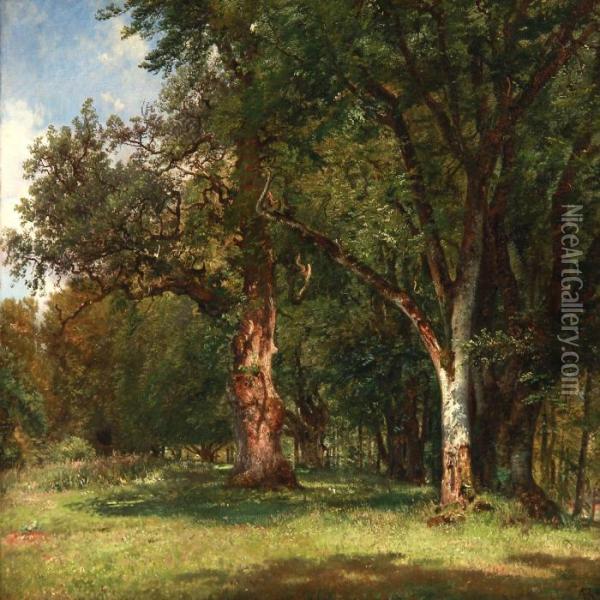 Summer Day In The Deer Garden With Oak Trees, Denmark Oil Painting - Anton Edvard Kieldrup