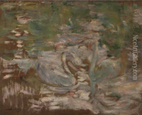 Cygnes Sur Le Lac Oil Painting - Berthe Morisot