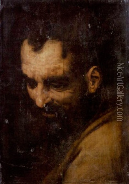 The Head Of A Bearded Man Oil Painting - Frans Floris the Elder