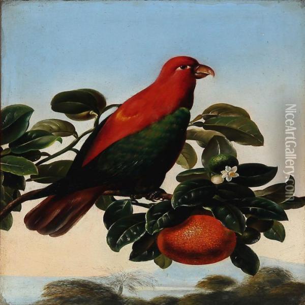 Red Amazon Parrot On An Orange Twig Oil Painting - I.L. Jensen