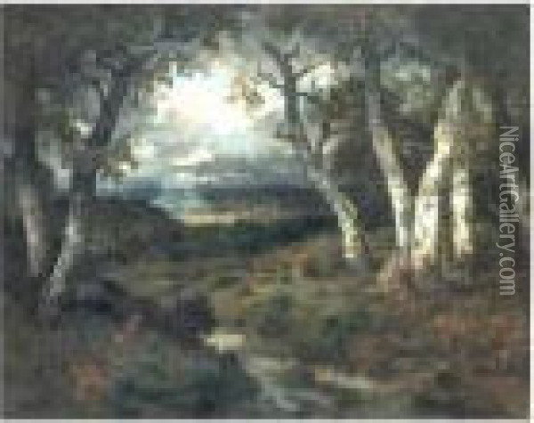 In The Forest Of Fontainbleau Oil Painting - Narcisse-Virgile D Az De La Pena