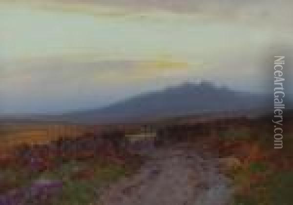 Old Roadway Near Dartmoor Oil Painting - Frederick John Widgery