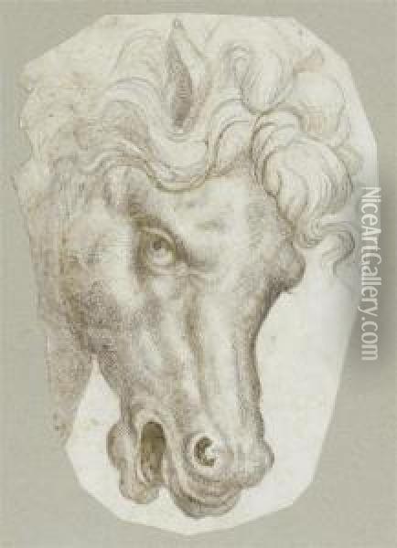 Horse's Head. Oil Painting - Rancesco De' Rossi (see Salviati, Cecchino Del)