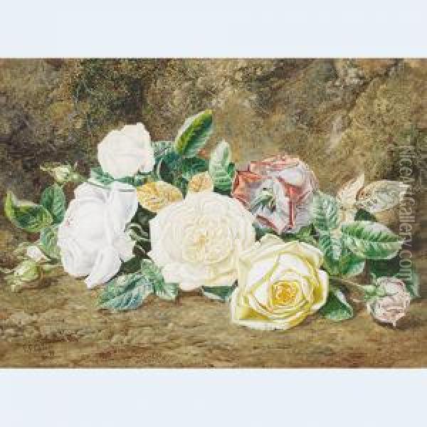 Roses On A Mossy Bank Oil Painting - Thomas Collier