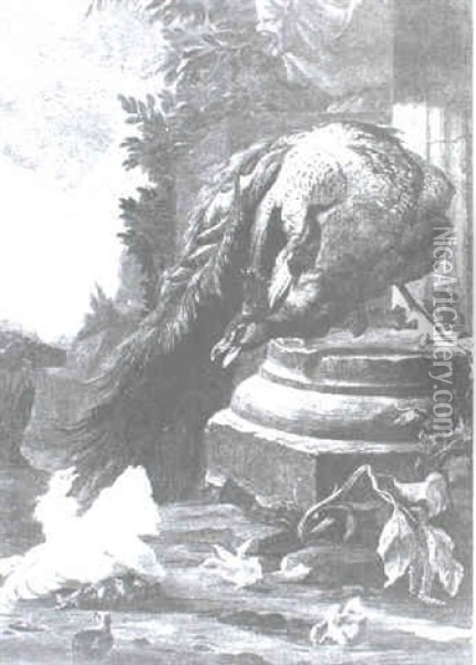 A Peacock And Other Wildfowl At The Base Of A Column Oil Painting - Melchior de Hondecoeter