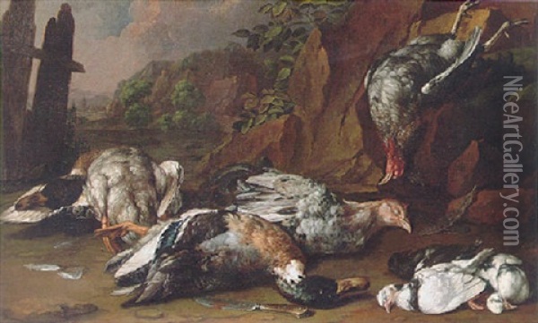 A Still Life Of Ducks, Hens And Other Fowl Beside A Knife In A Rocky Landscape Oil Painting - Giovanni Agostino (Abate) Cassana