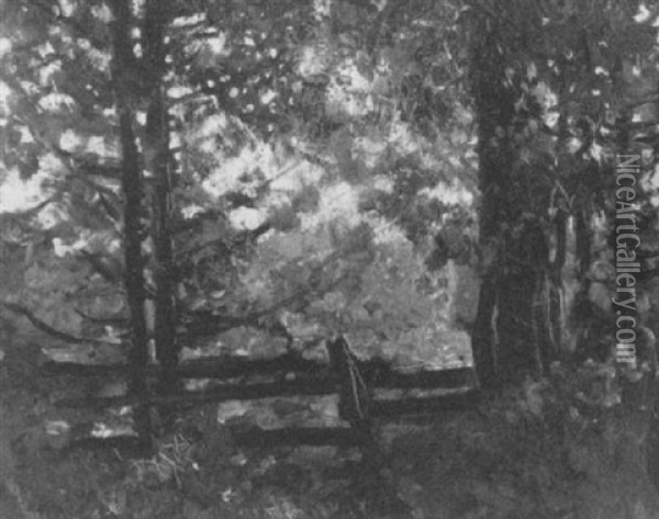 Sunshine Through The Trees Oil Painting - Francis Hans Johnston