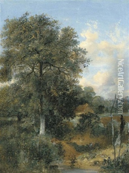 A Wooded Landscape With An Oak Oil Painting - John Crome the Elder