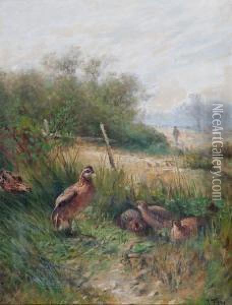 Rebhuhnfamilie Im Gras Oil Painting - John Fery