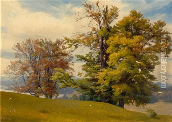 Tree Study Near Tutzing Oil Painting - Johann Gottfried Steffan