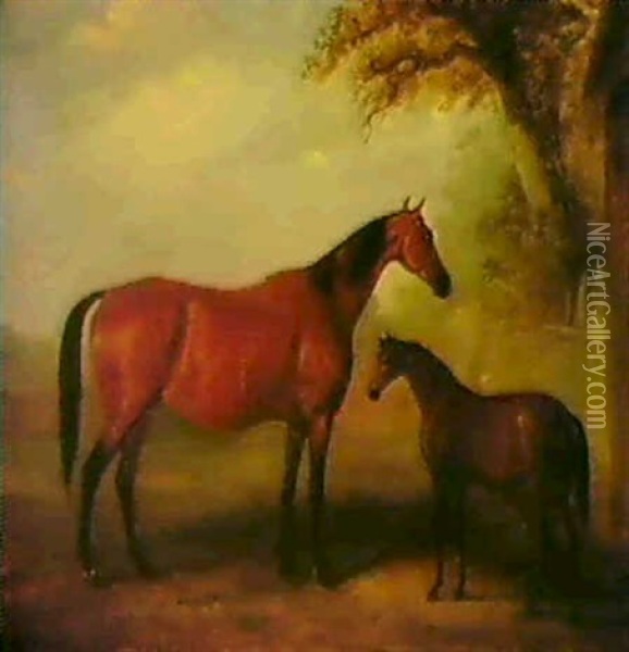 A Amre And Foal In A Landscape Oil Painting - John Ferneley Jr.