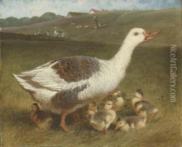 A Goose And Goslings In A Landscape, Figures Beyond Oil Painting - John Frederick Herring Snr