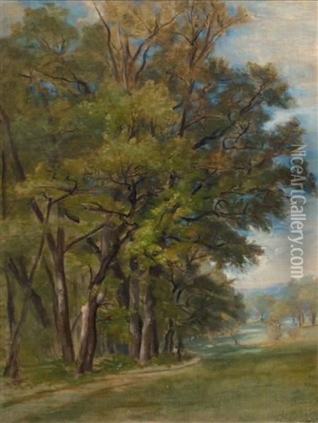 At The Edge Of A Forest Oil Painting - Barthelemy Menn