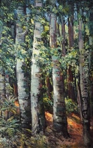 Wildepad In Die Knysna Bos Oil Painting - Pieter Hugo Naude