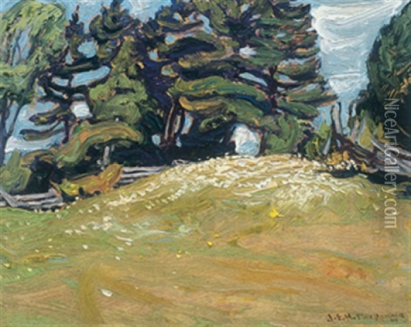 Edge Of The Field Oil Painting - James Edward Hervey MacDonald
