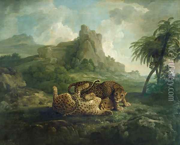 Leopards at Play, c.1763-8 Oil Painting - George Stubbs