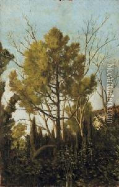 Il Bosco Oil Painting - Eugenio Cecconi