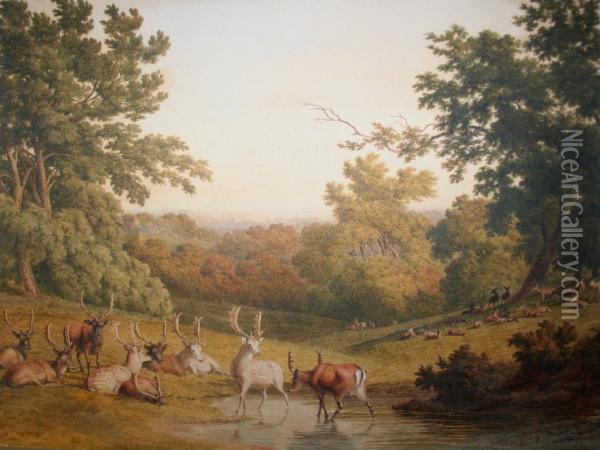 Deer In A Park Oil Painting - Robert Hills