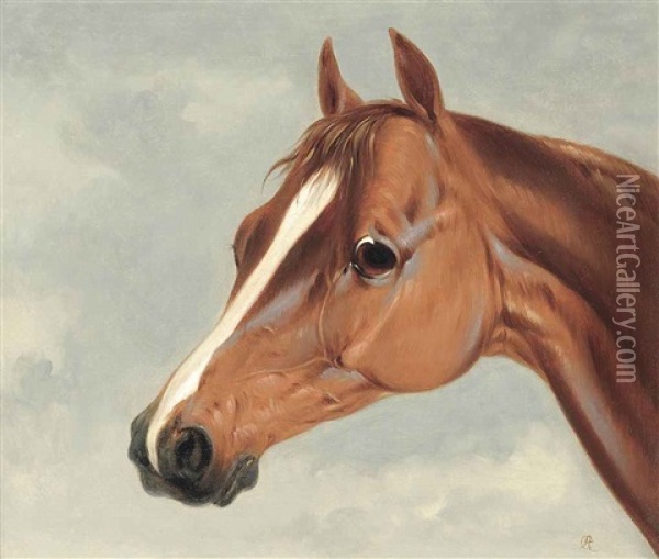 A Favourite Hunter Oil Painting - Abraham Cooper