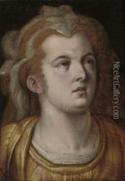 Head Of A Woman Oil Painting - Frans I Vriendt (Frans Floris)