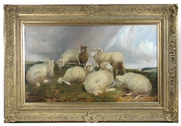 Sheep In A Coastal Landscape With A Coming Storm Oil Painting - Charles Jones