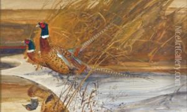 Prairie Longtails Oil Painting - Edmund Thomas Quinn