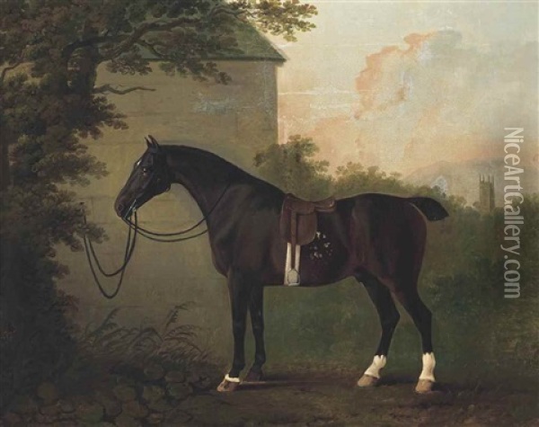 A Saddled Bay Hunter By A Stable Wall Oil Painting - John Boultbee