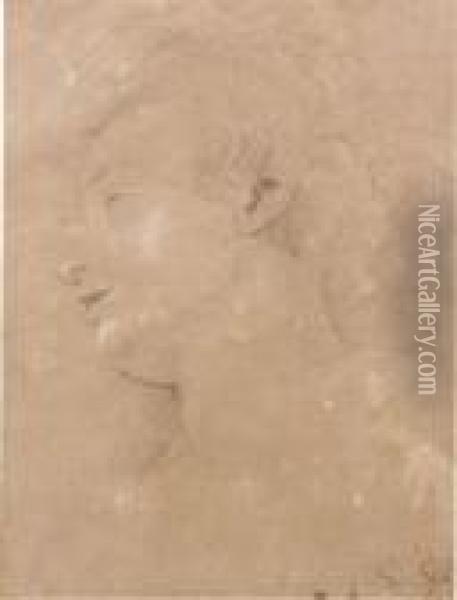 Portrait De Femme De Profil Vers La Gauche Oil Painting - Sir Anthony Van Dyck